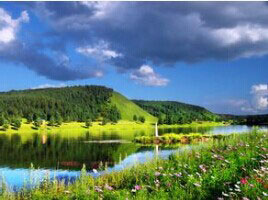 �컨��������ɭ�ֹ�԰